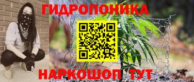винт Дубна