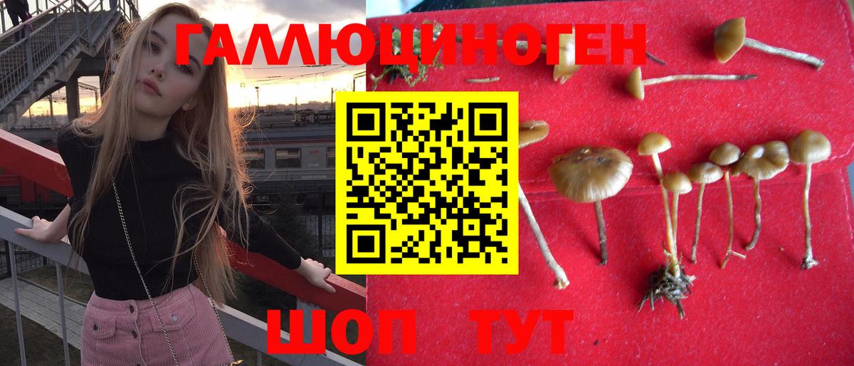 Галлюциногенные грибы мицелий Миллерово